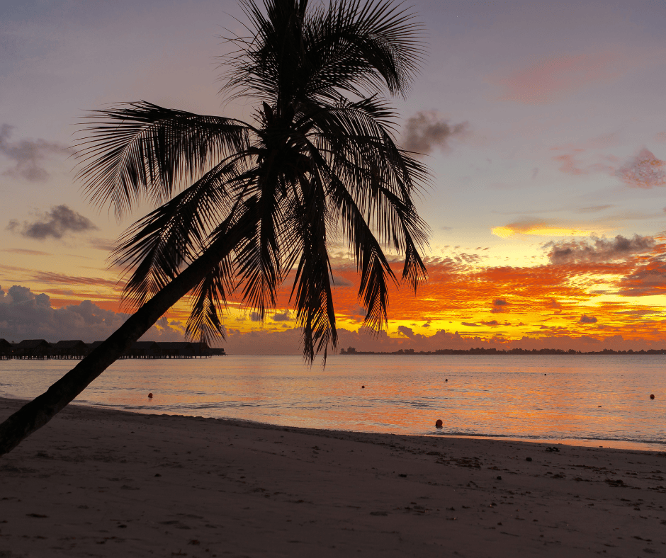 holidays advertised microsoft travel ads